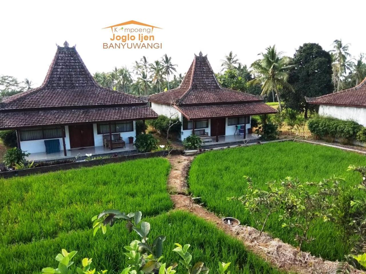Kampoeng Joglo Ijen Βίλα Banyuwangi  Εξωτερικό φωτογραφία